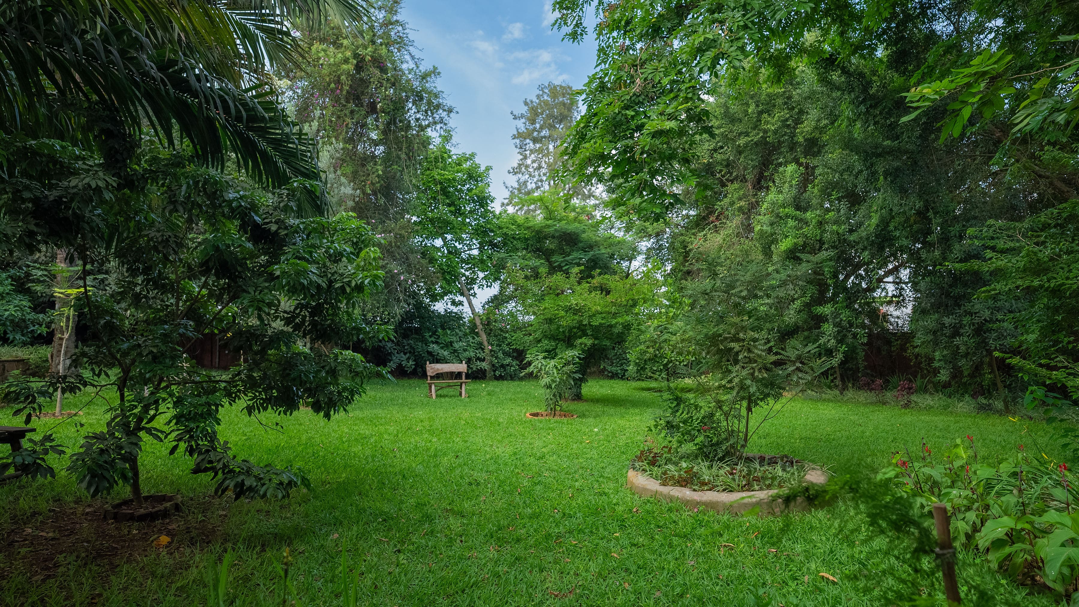 Garden